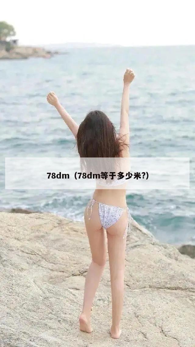 78dm（78dm等于多少米?）